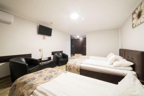 Hotel Pensiunea Europa