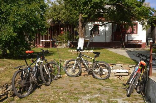 Hostal Casa Petri Rosia Montana
