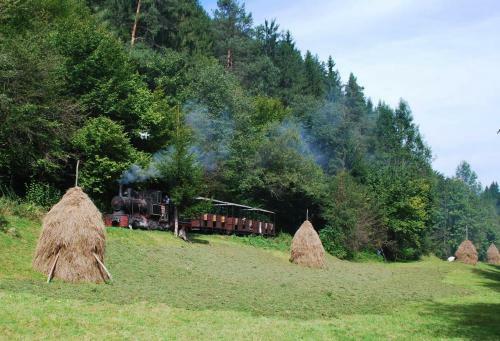 Hostal Casa Petri Rosia Montana