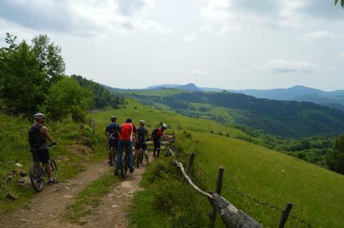 Hostal Casa Petri Rosia Montana