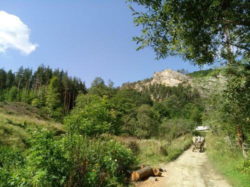 Villa Conacul M?ntescu