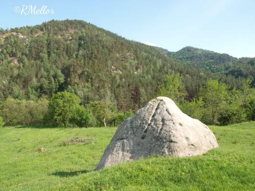 Villa Conacul M?ntescu