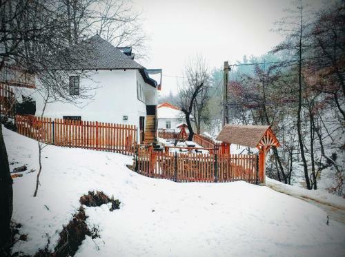 Villa Conacul M?ntescu