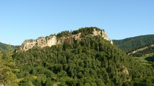 Villa Conacul M?ntescu