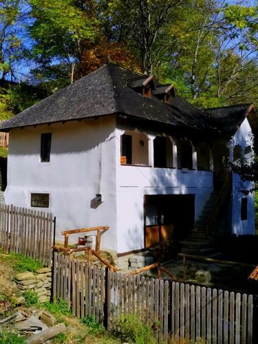Villa Conacul M?ntescu