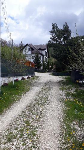 Hostal Pensiunea Scarisoara