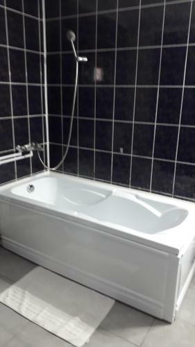 Hostal Pensiunea Scarisoara