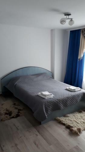 Hostal Pensiunea Scarisoara