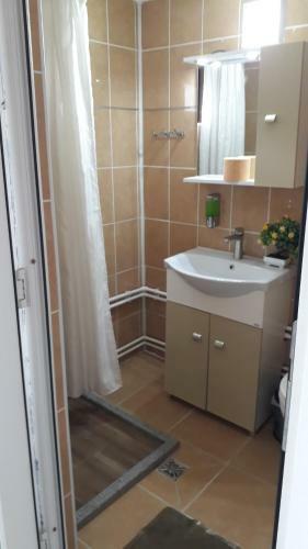 Hostal Pensiunea Scarisoara