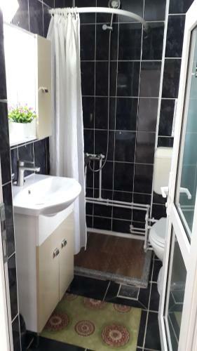 Hostal Pensiunea Scarisoara