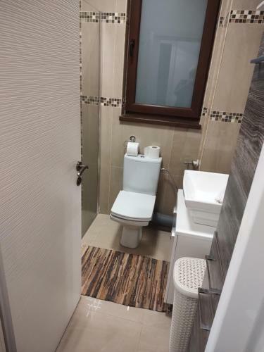 The Unique Apartment