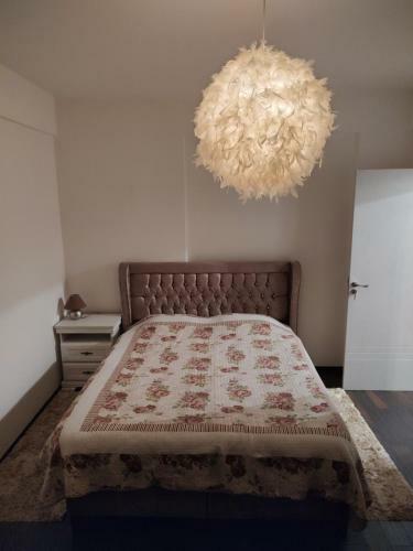 The Unique Apartment