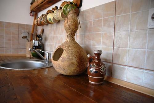 Casa Zestrea Bunicii
