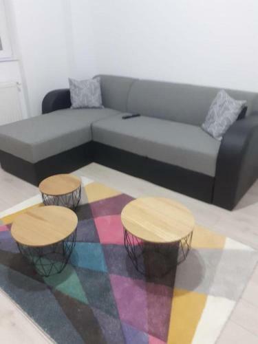Luxury 1 Bedroom Apartment