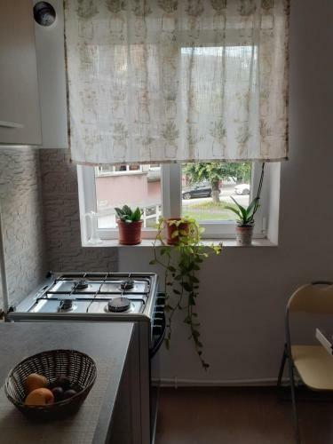 Apartament Particular