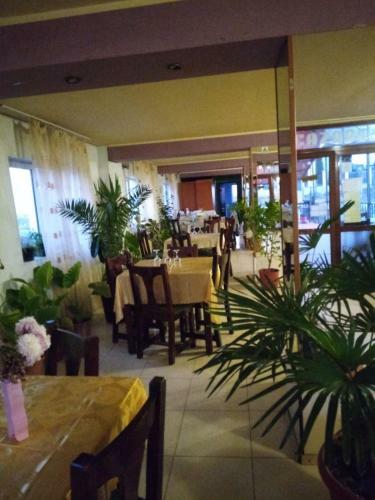 Hostal Pensiunea Vera