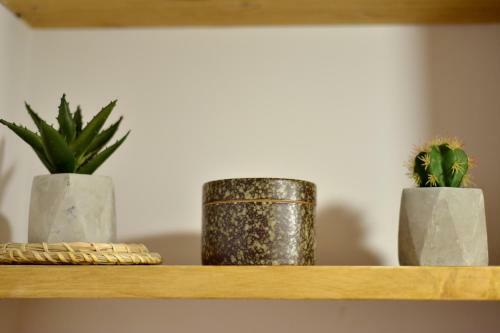Ritual Apartament
