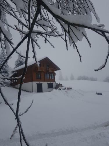 Bed & Breakfast Tulean Cabin