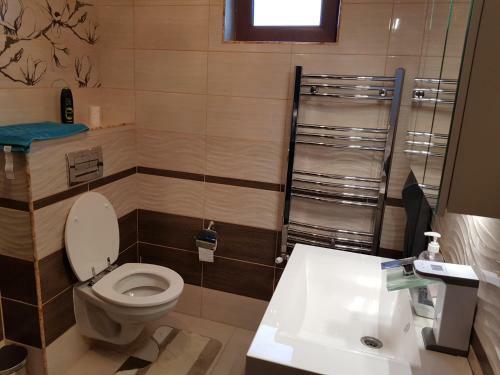 Hostal Pensiunea Vila Mocanilor