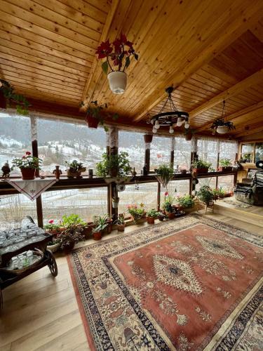 Hostal Pensiunea Casa Severin