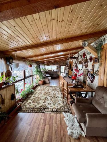 Hostal Pensiunea Casa Severin