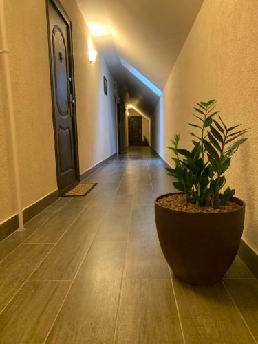 Apartamento Braun Residence