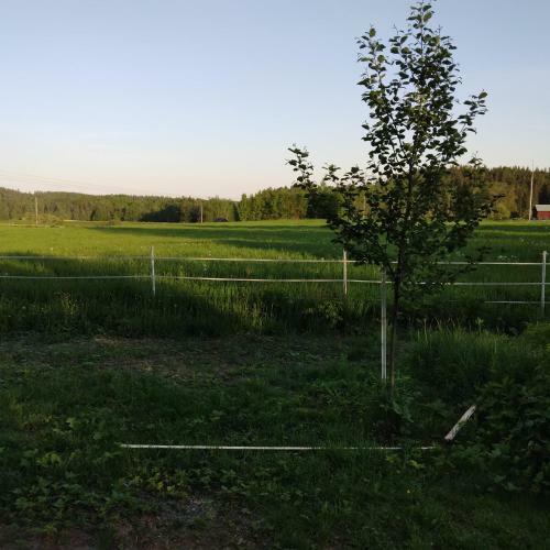 Cabin Bergslagen Stuga