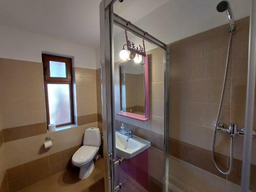 Hostal Pensiunea Vera
