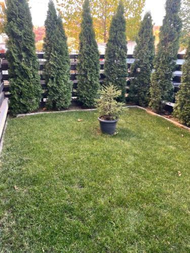 Apartament Primaverii