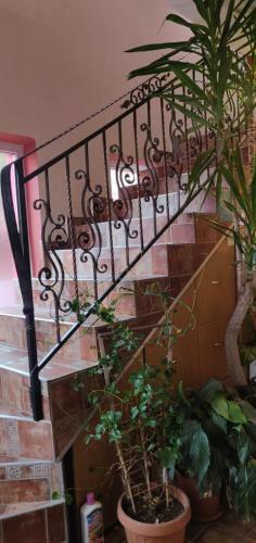 Hostal Casa Terzea
