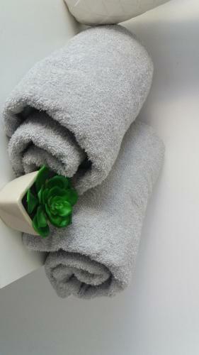 Cazare Apartament Rasnov
