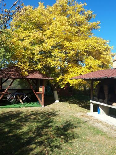 Hostal Casa Stely