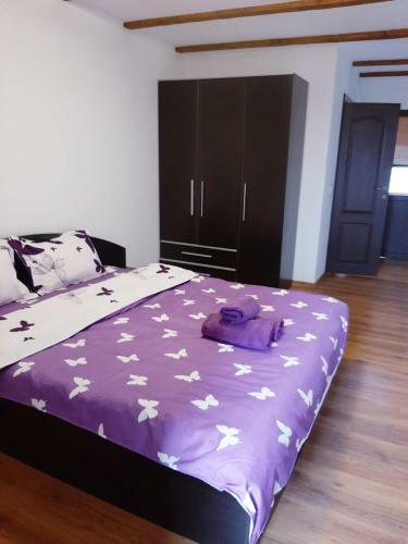 Apartamento Casa De Vacanta Sadu