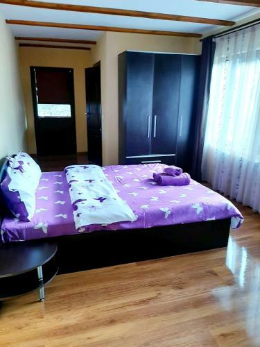 Apartamento Casa De Vacanta Sadu