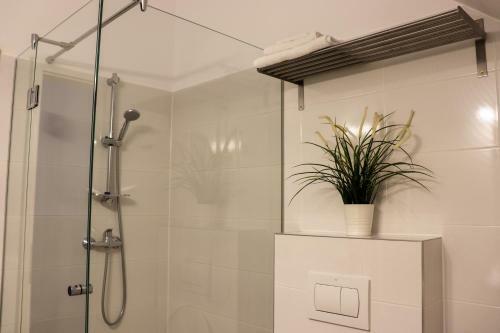 Apartamente Bucegi
