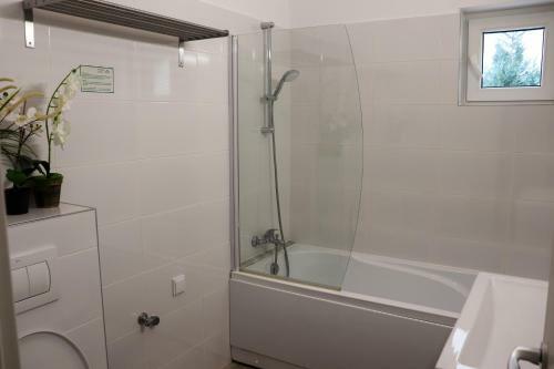 Apartamente Bucegi