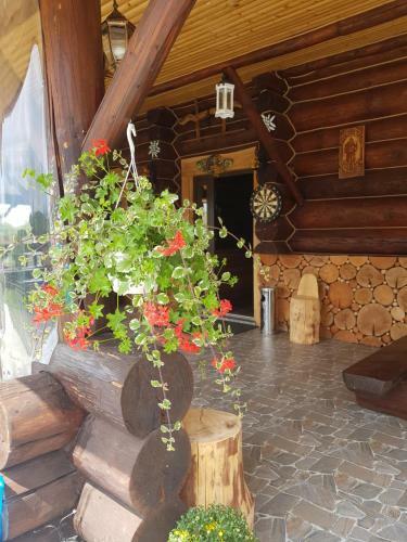 Lodge Floare De Colt