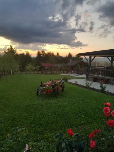 Lodge Floare De Colt