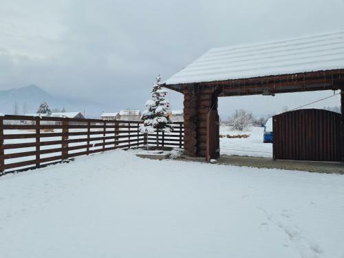 Lodge Floare De Colt