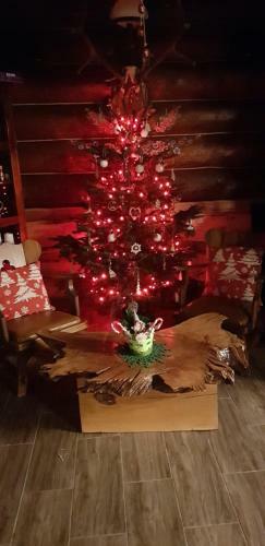 Lodge Floare De Colt