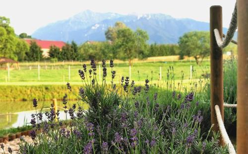 Agroturismo Casuta Cu Atelier