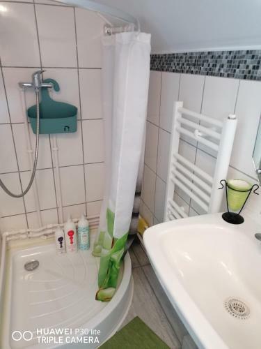 Hostal Rasnov Retreat