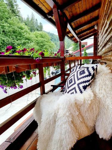 Hostal Pensiunea Don Sergio