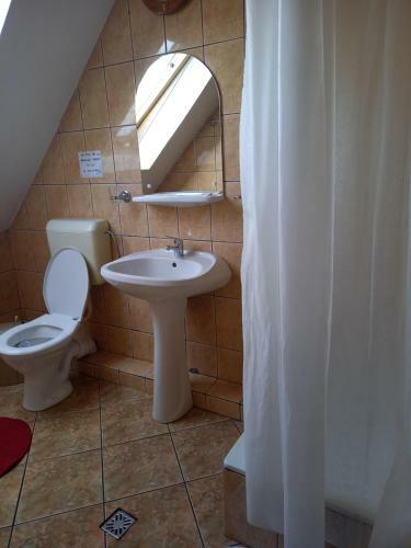 Hostal Pensiunea Ialomicioara