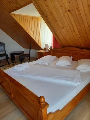 Hostal Pensiunea Ialomicioara
