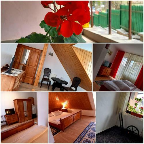 Hostal Pensiunea Ialomicioara