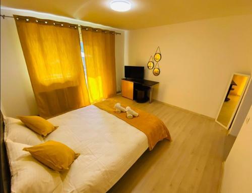 Hostal Pensiunea Alexandru