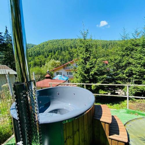 Hostal Pensiunea Alexandru