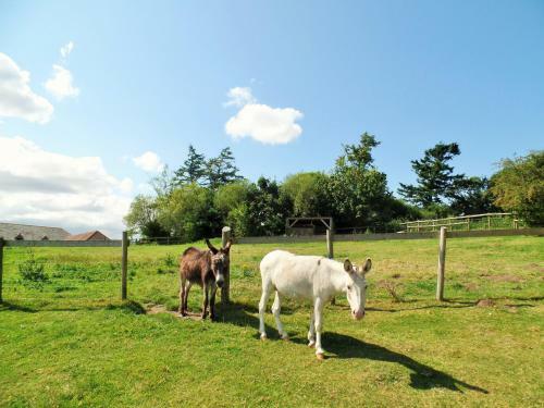 Agroturismo Luccombe Farm Holiday Cottages
