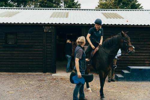 Agroturismo Luccombe Farm Holiday Cottages
